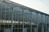 玻璃温室大棚   规范