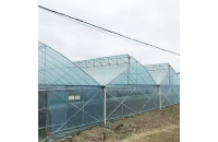 玻璃温室大棚在种植蔬菜时的准备工作，你了解吗？